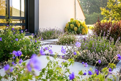 Vue d'un jardin avec des allées et des bosquets aménagés